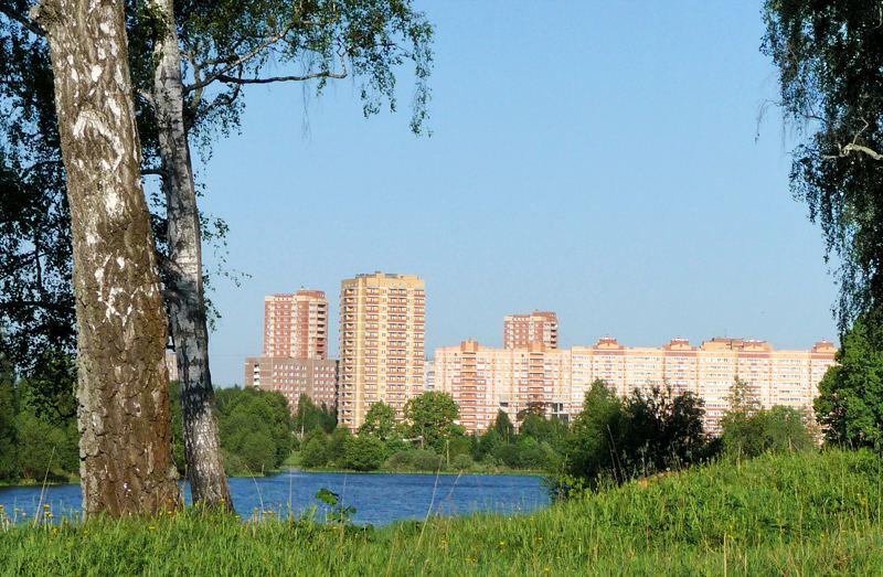 Город Фрязино